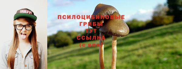 ECSTASY Балахна