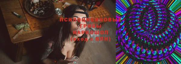 меф Пересвет